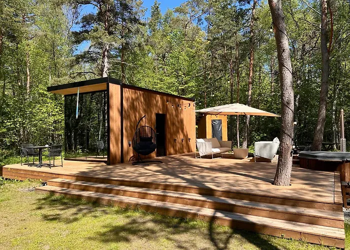 Telise Tinyone Is A Modern Forest Cabin With A Cozy Hot Tub